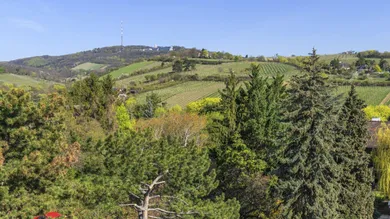Unterer Schreiberweg 49 | Penthouse