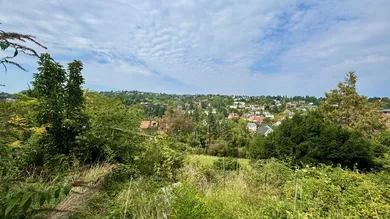 Fernblick