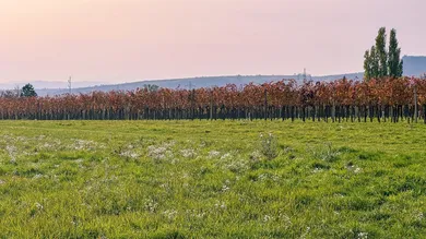 IMPRESSIONEN UMGEBUNG