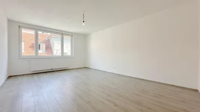 Zimmer1