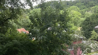 Blick ins Grüne
