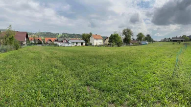IMG_9769
