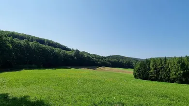 Landwirtschaft Pressbaum, Obj. 3923