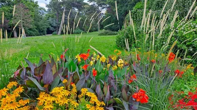 Nähe Wertheimsteinpark