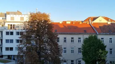 454_73394044