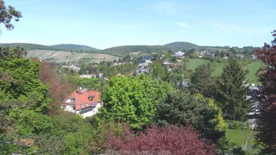 Blick