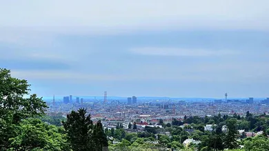 Wienblick