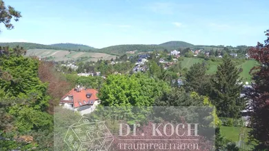 Blick