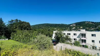 3a