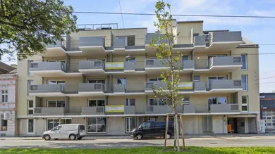 Haus1