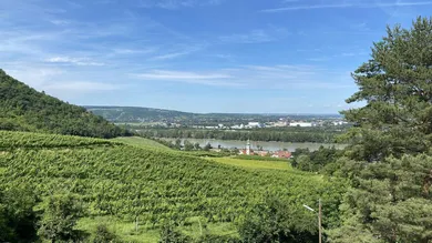 Ausblick von Dachterrasse