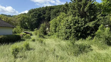 Richtung Wald