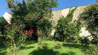 Garten 1