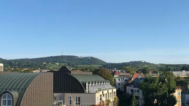 wunderbare Aussicht über die Dächer von Wien