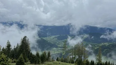 Ansicht Jungwald / Fernsicht
