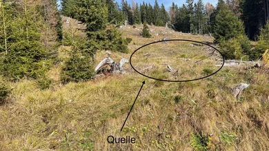 Slide 1
