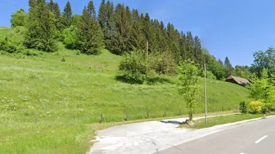 Zufahrt mit Wiesenfläche