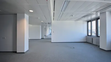 Slide 1