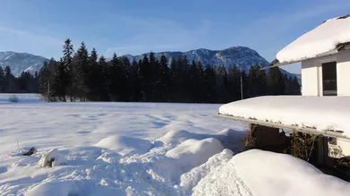 Winter Grundstück mit Altbestand