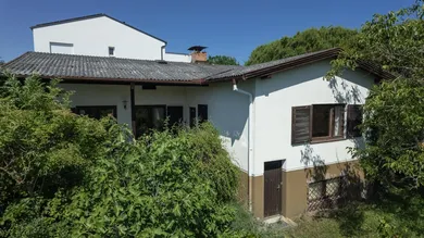 Haus