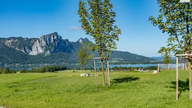 Schöner Seeblick von der Terrasse