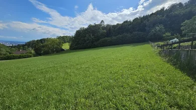 Standort im "grünen Gürtel" von Linz