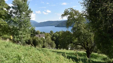 einzigartiger Blick