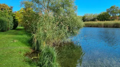 Oberes Mühlwasser