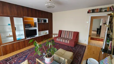 zentrales Wohnzimmer Blick Vorzimmer