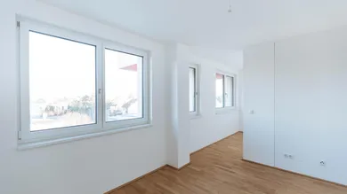 Zimmer