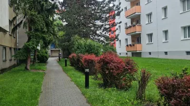 Zugang