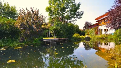 Haus mit Naturschwimmteich