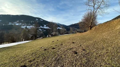 Grundstück - Ausrichtung Westen