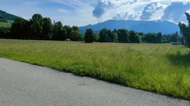 Grundstücke Lieserhofen.