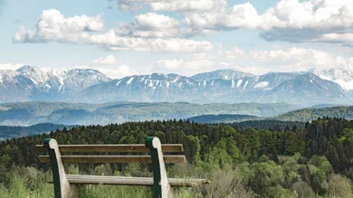 Wald und Wiese Moosburg zum Verkauf