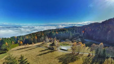 Almgrundstück oberhalb Ossiacher See