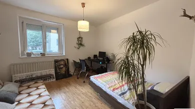 Zimmer 1