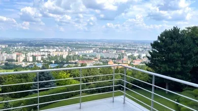 Slide 1