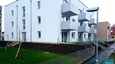 Bild zu b9390daa-a665-4aed-84f4-852096aa8822
