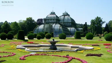 Umgebung: das Palmenhaus, Foto von Pixabay