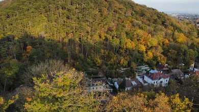 Aussicht