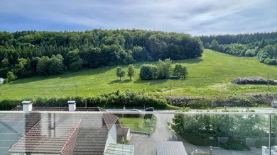 Ausblick