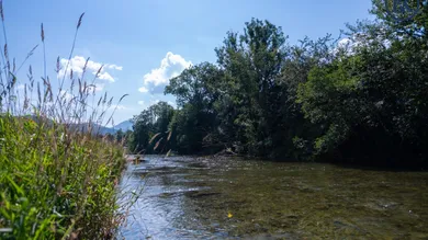 Fluss