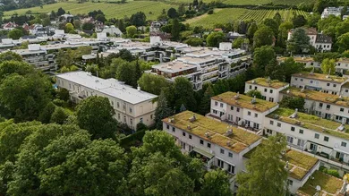 Hackhofergasse Luftbild