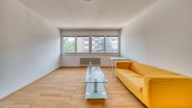 Zimmer