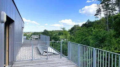 Terrasse 1 Waldseite
