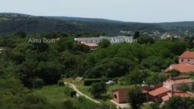 Slide 1