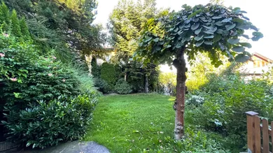 Garten 1