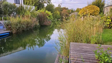 Blick von der Seeterrasse