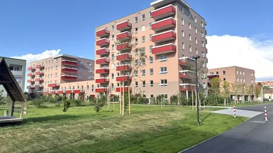 Slide 1